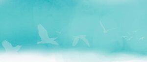 Join Us for '100 Days of Meditation, 100 Voices of Peace'