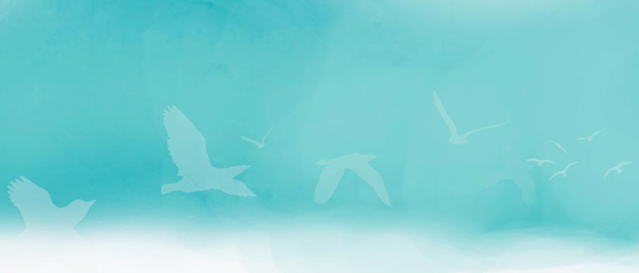 Join Us for '100 Days of Meditation, 100 Voices of Peace'